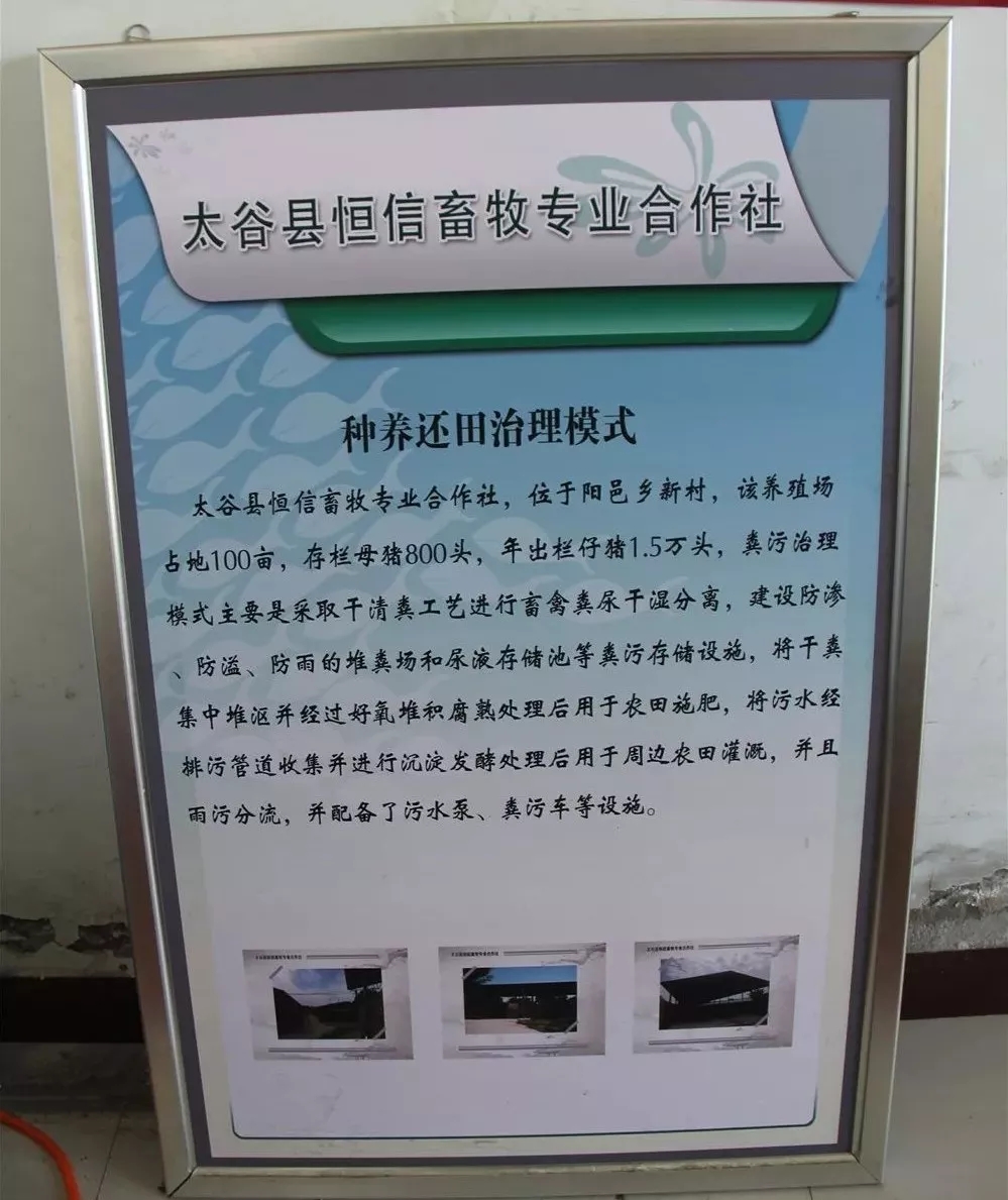 640.webp (10).jpg